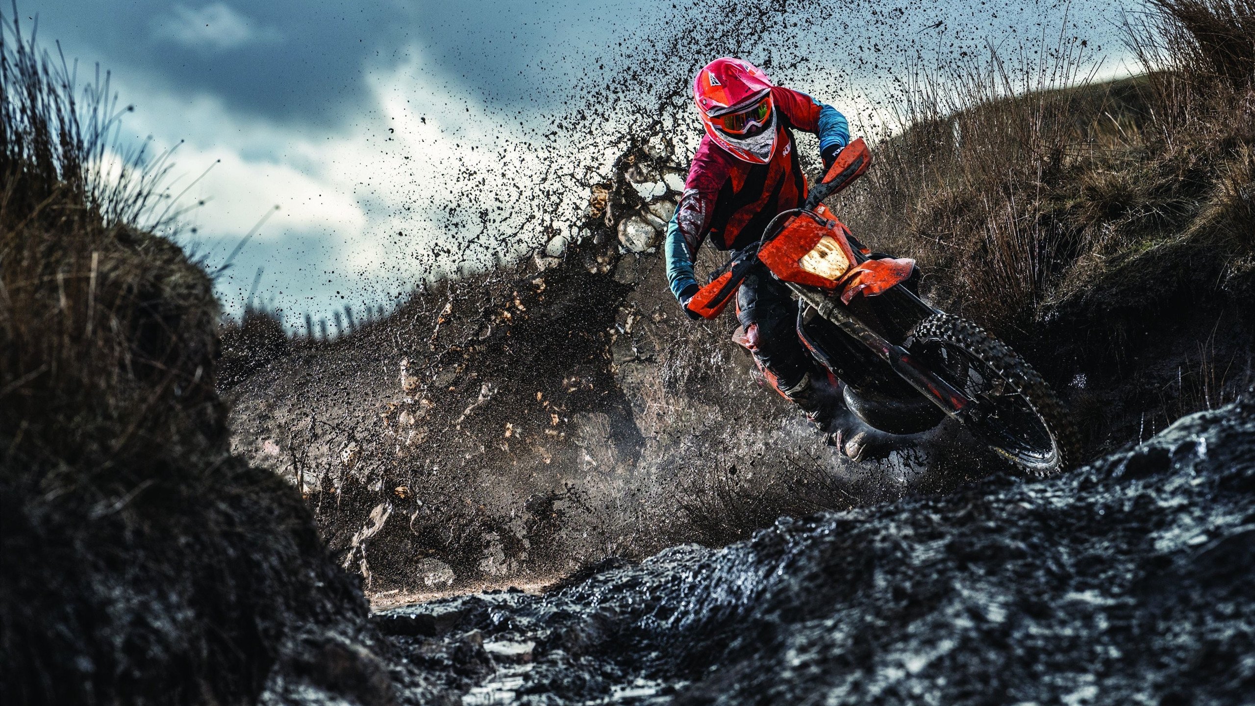 开云下载-锡安打出统治级数据，辽宁队收割太阳，当东方铁骑遇上美式风暴